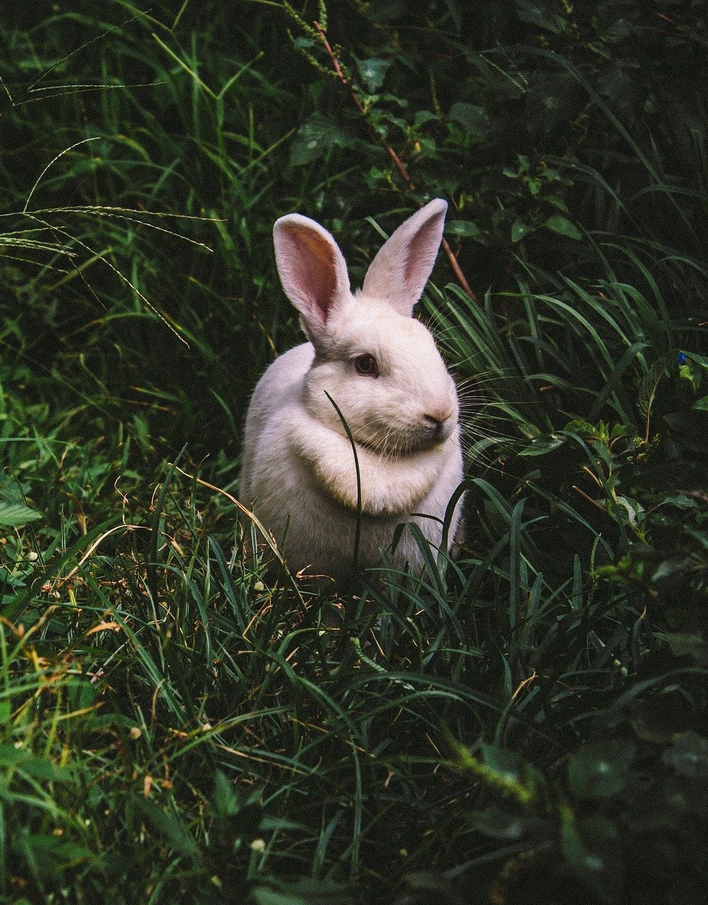 Ostern im Paradies_2