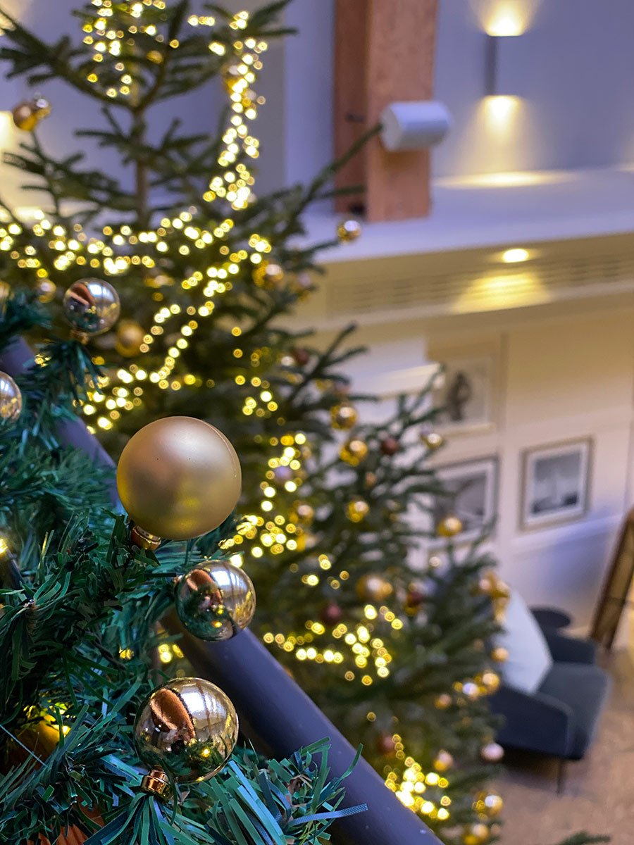 weihnachtsbaum-aedenlife_web