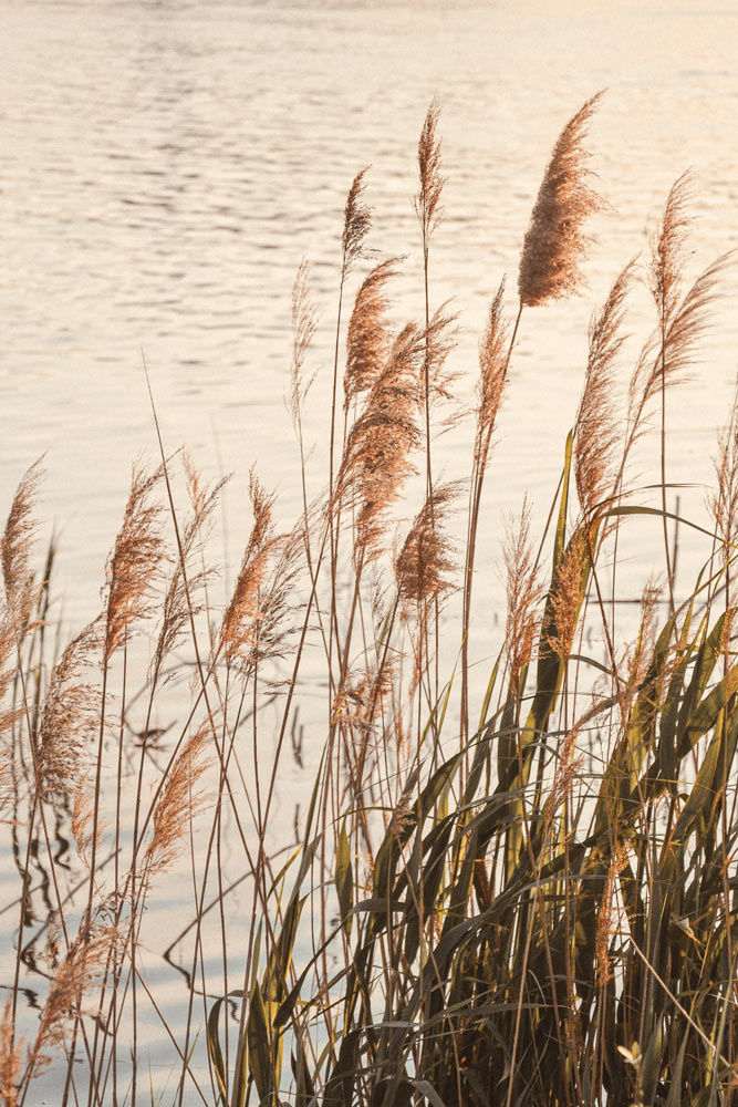 Herbstauszeit auf Rügen Herbstauszeit auf Rügen